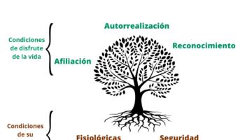 El árbol de las pre-ocupaciones.